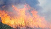 GORE ŠUME U SIBIRU: U vatrenoj stihiji nestalo preko milion hektara rastinja
