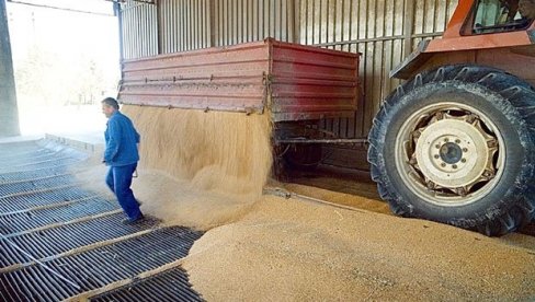 HRANA JE NAJSKUPLJA U POSLEDNJIH 10 GODINA: Evo šta je uzrok poremećaja na tržištu