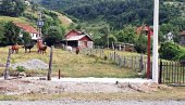 VANDALSKI ČIN NAD SVETINJOM SVETOG VASILIJA OSTROŠKOG: Ukrali ogradu i kapiju, pustili konje na crkvište (FOTO)