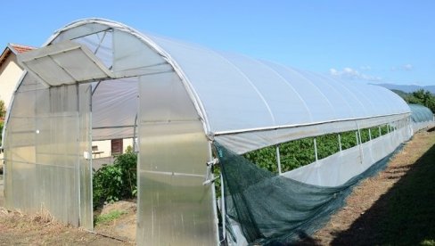 TRI NAJVEĆA NEPRIJATELJA PLASTENIKA: Sačuvajte konstrukciju od vetra, snega i niske temperature