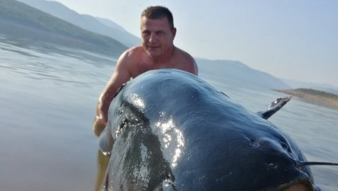 KAKVA GRDOSIJA: Na Bilećkom jezeru upecao soma od - 92 kilograma!