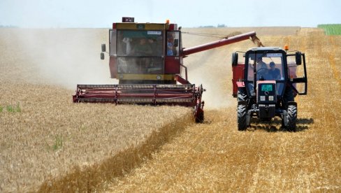 SUŠA POGORŠAVA PREHRAMBENU KRIZU: Evropske zemlje očekuju znatno manje prinose žita