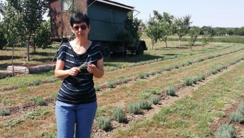 LAVANGRAD OŽIVEO SELA: Žene iz somborskog atara se udružile i pokrenule posao na svojim malim gazdinstvima