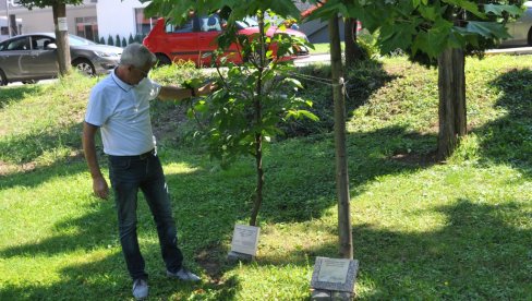 ПАРК СЕЋАЊА НА ВЕЛИКАНЕ: У Врњачкој Бањи ускоро почиње изградња својеврсног меморијалног комплекса посвећеног нашим глумцима