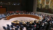 PREDSTAVNIK RUSIJE  SAVETU BEZBEDNOSTI UN: U BiH da odluče o ovlašćenjima Turkovićeve