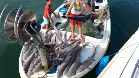 SMANJENE CENE ODREĐENIH GRUPA NAMIRNICA U PRVIH PET MESECI OVE GODINE: Jeftiniji ribarski proizvodi