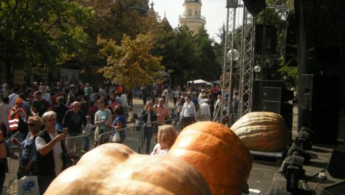 „DANI LUDAJE“ U KIKINDI BIĆE ODRŽANI, ALI SKROMNIJE NEGO RANIJE: Tikve bez fruštuka, karnevala i koncerata