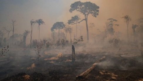 AMAZONIJA PONOVO BUKTI: Požari prete da budu gori od prošlogodišnjih