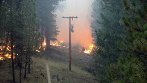 OREGON SE PRETVORIO U PAKAO: U požarima stradalo najmanje 15, evakuisano pola miliona (FOTO)