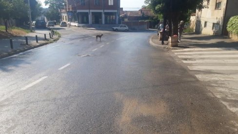 ŠUT, KAMENJE I DELOVI ASFALTA ZAGUŠILI KANALIZACIJU: Evo šta su nadležni pronašli u Vranju nakon prijave građana (FOTO)