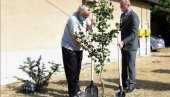 GINKO SIMBOLIČNA PODRŠKA BOLESNIMA: Gerontološki centar u Subotici obeležio Svetski dan borbe obolelih od Alchajmerove bolesti