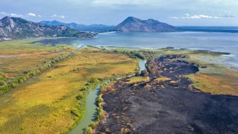 NAKON POŽARA U NACIONALNOM PARKU SKADARSKO JEZERO: NVO CZIP - Nemerljive posledice za biljni i životinjski svet (FOTO)