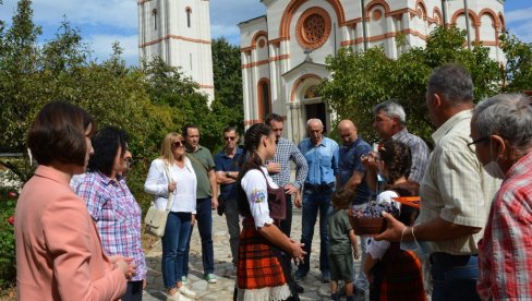 У ПОРТИ РОДИЛО ГРОЖЂЕ СА СВЕТЕ ГОРЕ: Јединствена јесења берби грожђа у Трстенику