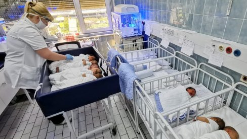 РОЂЕНО 1.658, УМРЛО 2.035: Према најновијим подацима градских статистичара за август РОЂЕНО 1.658, УМРЛО 2.035: Према најновијим подацима градских статистичара за август