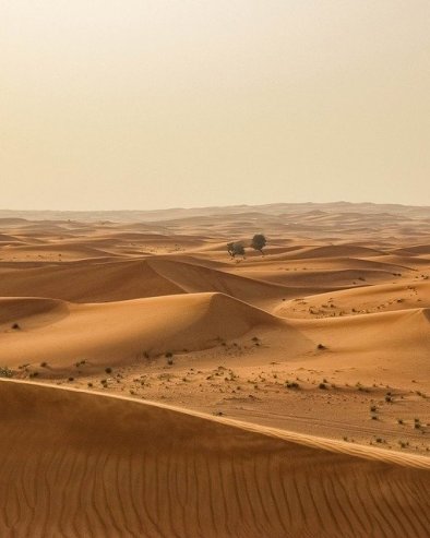 ОТКРИЋЕ У САХАРИ: Палеонтолози у пустињи Архипелаг диносауруса