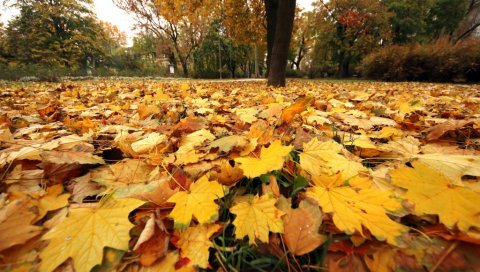 ДОШАО ЈЕ КРАЈ ЛЕТА: Метеоролог Чубрило открио каква је јесен пред нама, али и кад почиње - Стиже хладно време!
