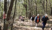 АПЕЛ ВРШАЧКИХ ПЛАНИНАРА: Бајкери, не возите шетачким стазама Вршачких планина