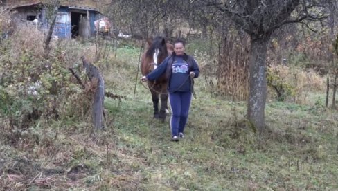 МЕЧКА РАСКОМАДАЛА КОЊА: Мештани голијских села у страху од крволочне звери