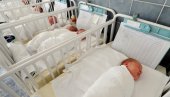 БЕЈБИ БУМ У НОВОСАДСКОЈ КЛИНИЦИ: За 24 часа рођено 24 бебе, међу њима и близанци