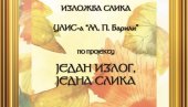 ПОСТАВКА 50 РАДОВА Изложба „Један излог, једна слика“ у Пожаревцу