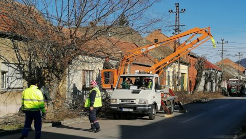 РЕШЕН ПРОБЛЕМ СА СТРУЈОМ У ВРШЦУ: Чим је стао олујни ветар, комуналци орезали проблематичне гране