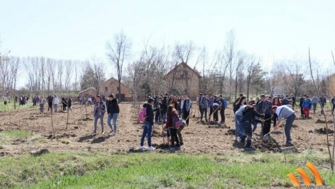 SEČANJ SADI SVOJE DRVO: Pripreme su završene, sledeće godine kreće pošumljavanje opštine