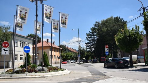 GRAĐANI DUŽNI DA UKLONE RASTINJE I STABLA: U Despotovcu počinje seča u zaštitnom pojasu dalekovoda