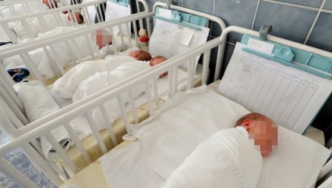 ДВА БРАТА И СЕСТРА: У Новом Саду за дан рођене 32 бебе, а међу њима и тројке