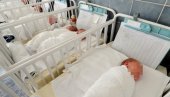 DVA BRATA I SESTRA: U Novom Sadu za dan rođene 32 bebe, a među njima i trojke