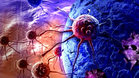 НАЈНОВИЈА СТУДИЈА ПОКАЗАЛА: Смртоносне Т ћелије уништавају најзаразније веријанте ковида 19