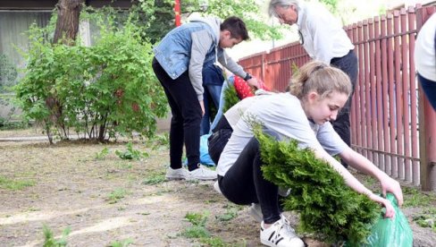 DRVO ZA BEOGRAD I ZA ČIST VAZDUH: Pri kraju nacrti planova za zeleni grad i održivu klimu i energiju, koji će biti predstavljeni u martu