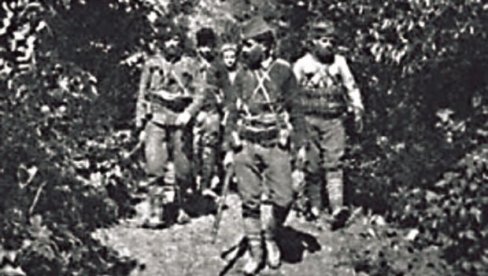 ŠVABE ZAZIRU OD SMEDEREVA: Vardarska divizija je tukla šest hiljada Nemaca na Dunavu