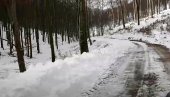 MISTERIJA SMRZNUTIH TELA TRESE HRVATSKU: Pronađeni ujak i nećak na planini Papuk, nisu nosili jakne ni zimsku odeću (VIDEO)