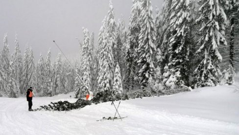 JELE PADAJU KAO POKOŠENE: Ekspanzija gradnje ugrožava Kopaonik - staza sve više, drveća sve manje