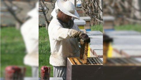 ZA TRI DANA PRIJAVA ZBOG MEDA: Kupci se na kvalitet žale inspekciji i Savezu pčelarskih organizacija, očekuju se rezultati za 160 uzoraka