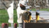 ЗА ТРИ ДАНА ПРИЈАВА ЗБОГ МЕДА: Купци се на квалитет жале инспекцији и Савезу пчеларских организација, очекују се резултати за 160 узорака