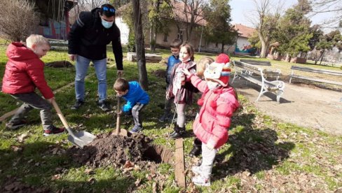 ĐOLETOV PARK ZA NEKE NOVE KLINCE: Školarci  posadili 68 belih bagrema u čast panonskom mornaru (VIDEO)