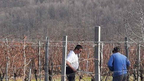 ZIMI IM POSAO CVETA: Evo koji su natraženiji mastori u Srbiji