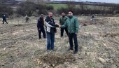 POSADILI VIŠE OD 100 TOPOLA: Na mestu divlje deponije u vršačkom selu Markovac niče park