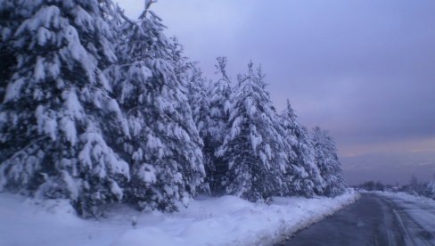 SNEG VEJE VEĆ 15 SATI: Putari u pirotskom kraju opet na nogama