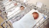 TROJKE I PAR BLIZNAKINJA: U pordilištu  U Novom Sadu za dan iz 18 porođaja rođena 21 beba
