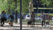 PET-ZONE MANJE POPULARNE: Pojedini građani traže izgradnju novih parkova za pse, dok su drugi protiv