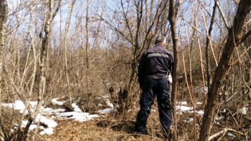 FOTOGRAFIJE SA MESTA NESREĆE: Lazar (19) pronađen okružen lekovima