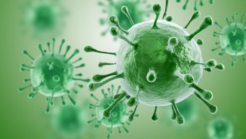 РУСКИ ИНФЕКТОЛОГ ОТКРИВА: Могућ урођени имунитет на неке сојеве вируса корона