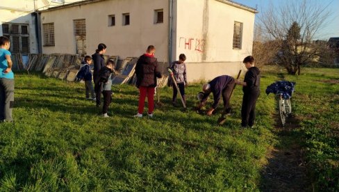 ГДЕ ГОД НАЂЕШ ЗГОДНО МЕСТО ТУ ДРВО ПОСАДИ: Млади неготински стонитенисери засадили саднице воћа