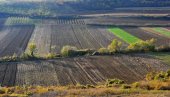 SAD IM TRAŽE DA VRATE NJIVE: Bivšim radnicima PIK Zemun umesto obećanih otpremnina stigle pretnje tužbama, treba da se odreknu parcela