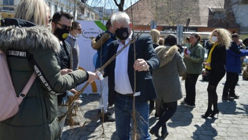 SOMBORCIMA 300 SADNICA: Održana akcija Posadi svoj hlad