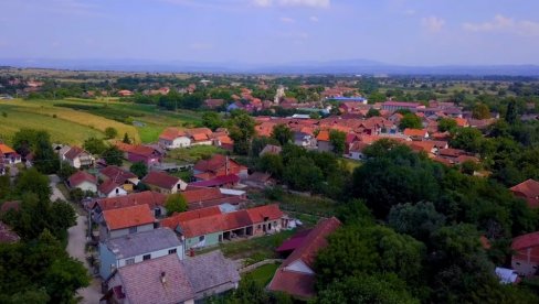 ПОСАЂЕНЕ САДНИЦЕ БЕЛОГ ЈАСЕНА У ВАРВАРИНУ: Овај догађај је део националне акције