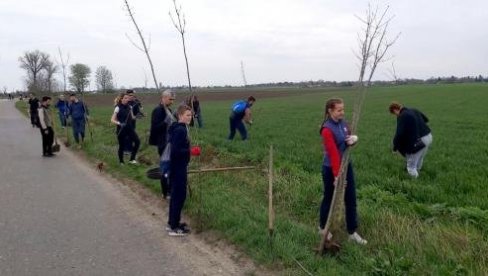 ОПЛЕМЕНИЛИ ПРОСТОР ИЗМЕЂУ СЕЛА: Волонтери садили дрворед између Старог Жедника и Ђурђина