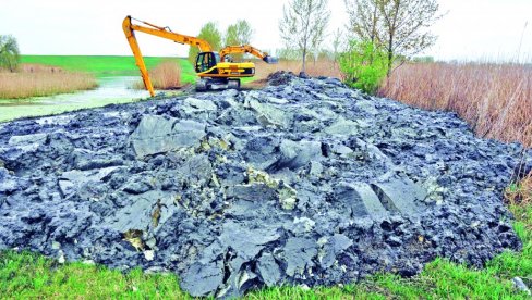 U KRIVAJI VIŠE NEMA ŽIVOTA: Najduža vojvođanska reka, od Bačke Topole do ušća u veliki Bački kanal, postala je kanalizacija